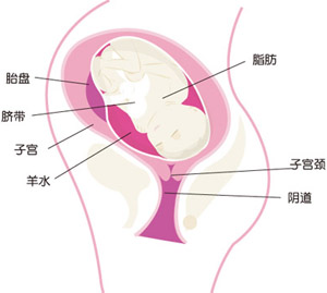 怀孕35周胎儿图片